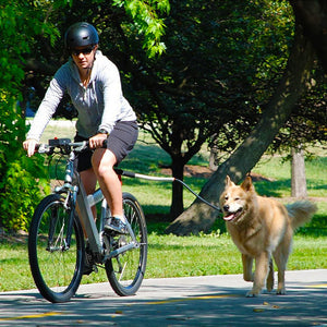 Stainless Steel Bike Leash for Safe Dog Walking and Cycling