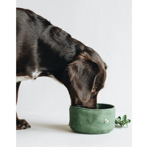 The Ultimate Portable Dog Bowl: Foldable Canvas Bowl for Food & Water