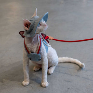 Sphynx Cat Chest Harness with Red Bow and Matching Leash
