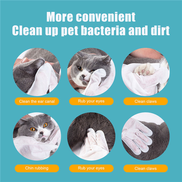 No-Bath Cat Grooming Non-Woven Gloves: The Ultimate Solution for Pet Owners