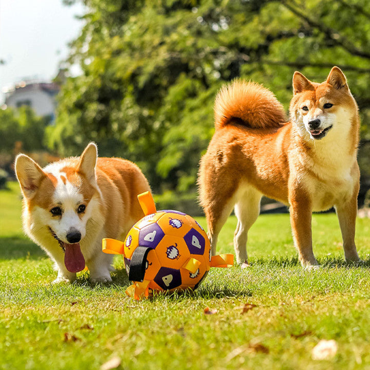 Unleash Fun with Our Interactive Football Dog Toy