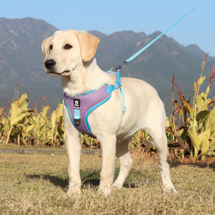 Adjustable Breathable Pet Harness with Leash: The Perfect Solution for Your Furry Friend
