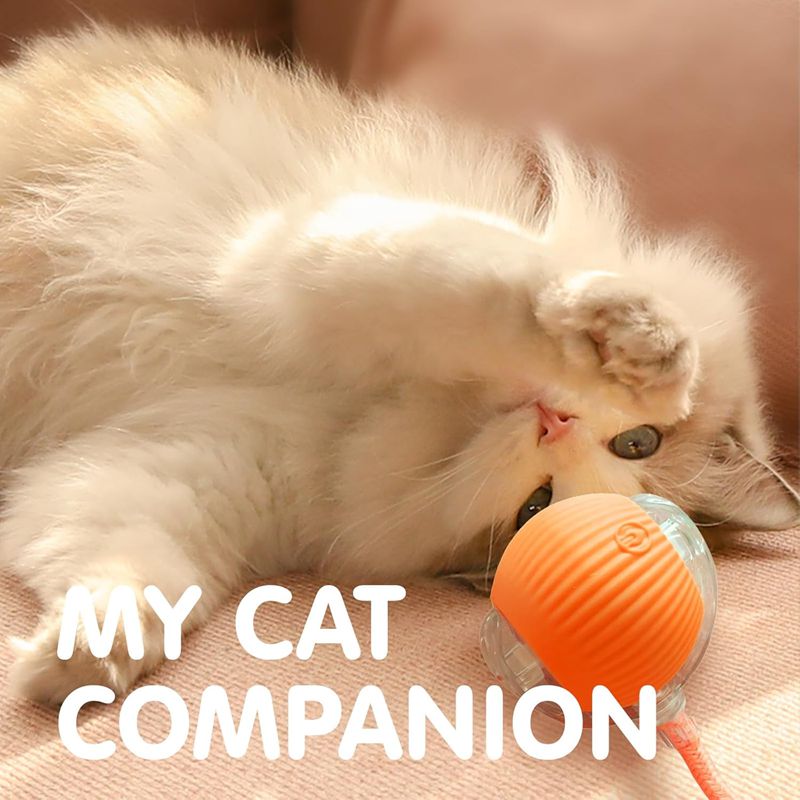Interactive Cat Toy for Endless Fun