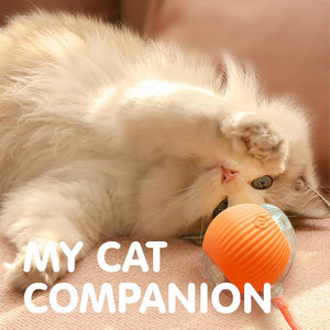 Interactive Cat Toy for Endless Fun