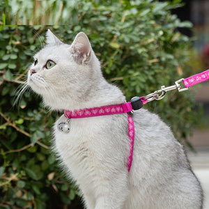 Chest Strap Harness with Bell and Leash for Small Dogs and Cats