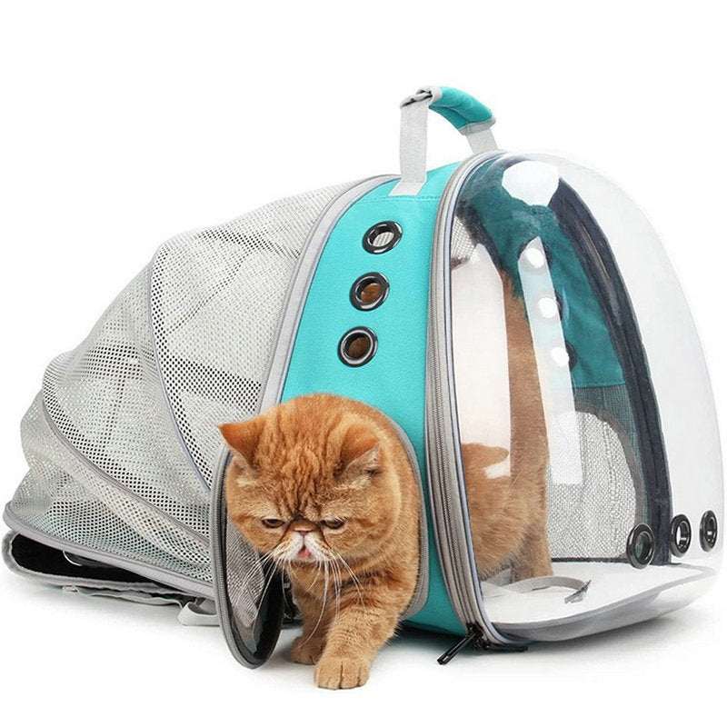 Rear-Expandable Transparent Mesh Backpack for Cats and Small Dogs