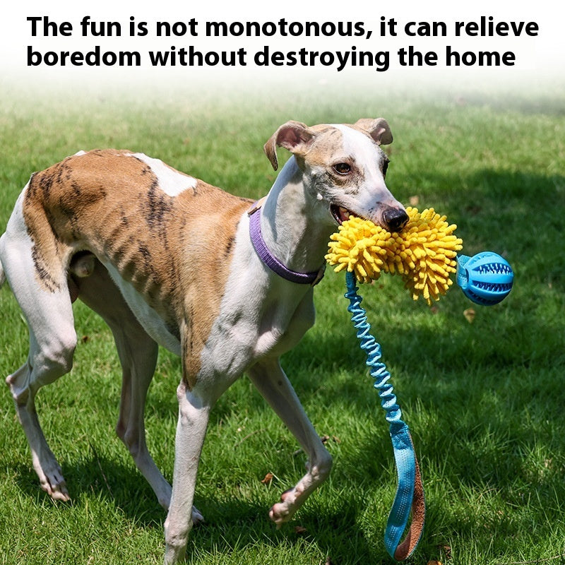 Cord Teether Tug-of-War Interactive Bite-Resistant Dog Toy