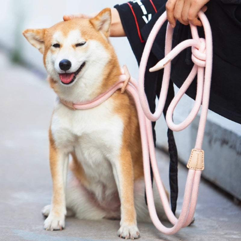 Multi-Functional Pet Chest Harness with Anti-Burst Leash for Safety