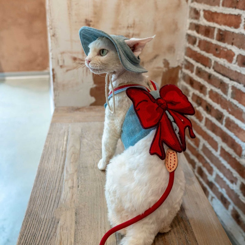 Sphynx Cat Chest Harness with Red Bow and Matching Leash