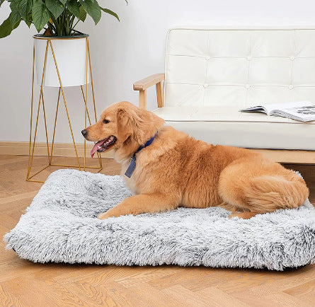 Plush Square Pet Sofa Bed with Memory Foam for Deep Sleep