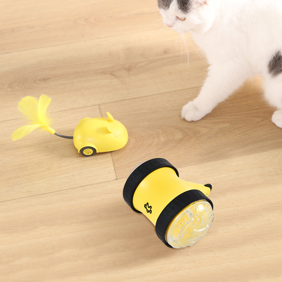 Remote-Controlled Food-Dispensing Pet Car