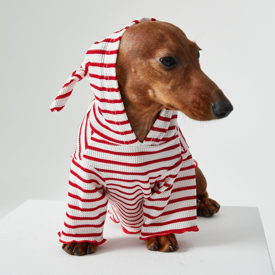 Striped Hooded Two-Leg Cat Clothes for Dogs and Cats
