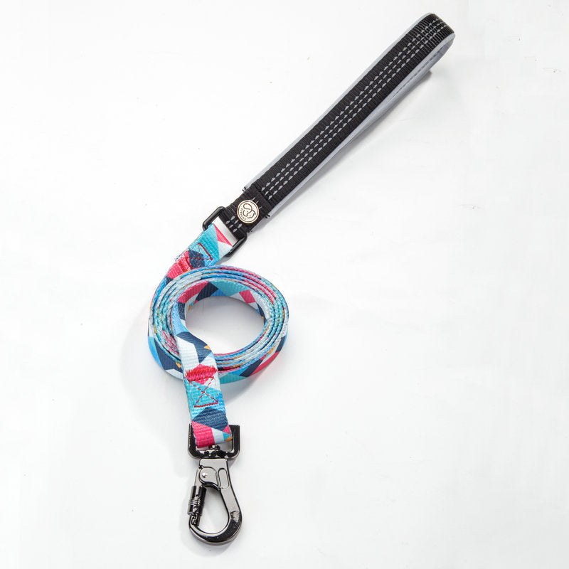 Durable and Comfortable Dog Leash for Daily Walks and Training