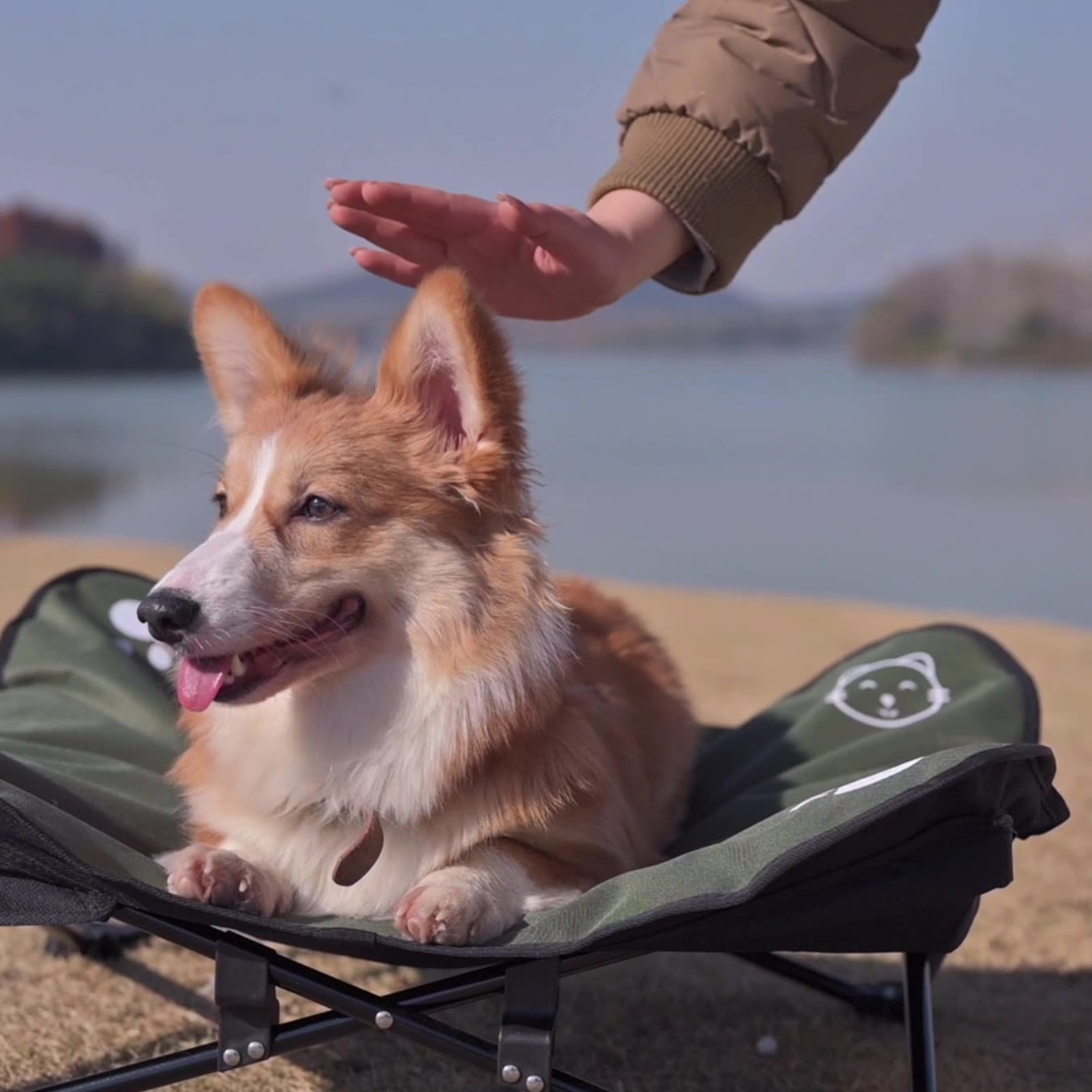 Outdoor Foldable Pet Bed with Detachable Washable Cover
