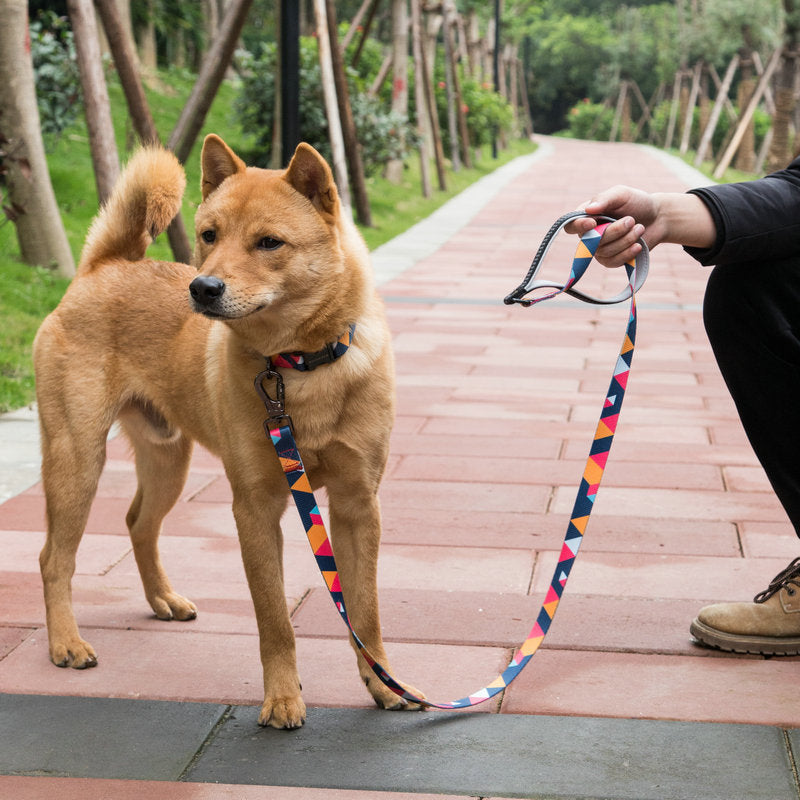 Durable and Comfortable Dog Leash for Daily Walks and Training