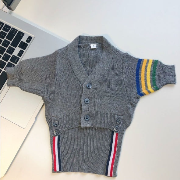 Stylish and Comfortable Clothing for Cats to Wear Every Day