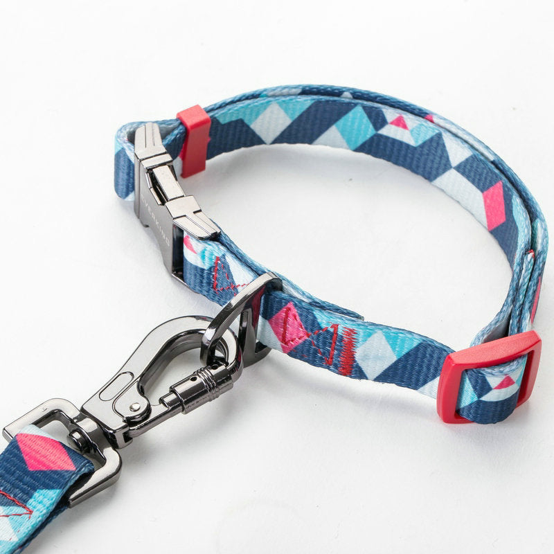 Durable and Comfortable Dog Leash for Daily Walks and Training