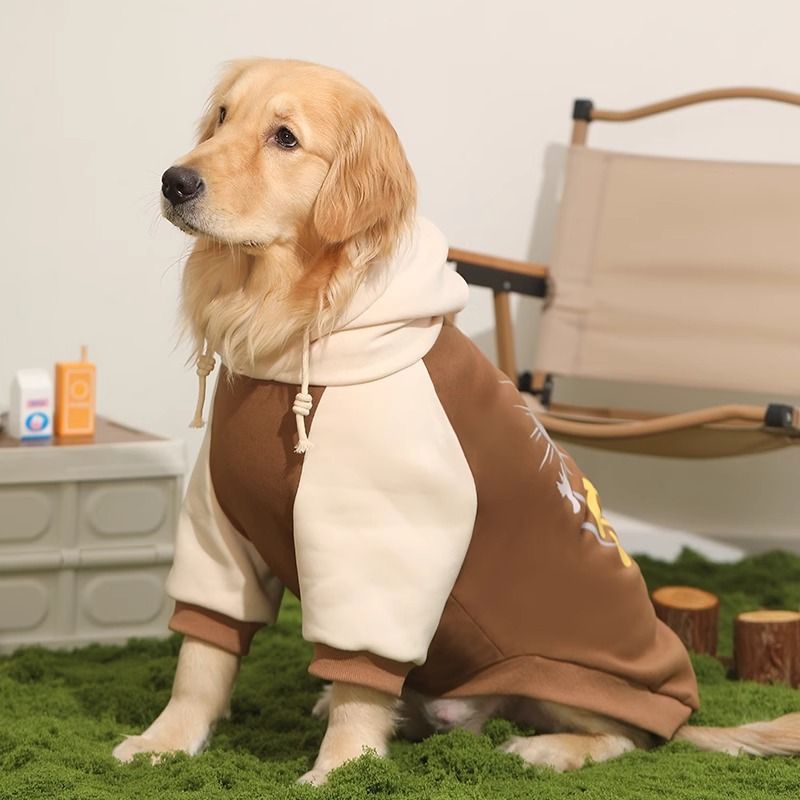 Warm and Cozy Sweater for Large Border Collie Dogs