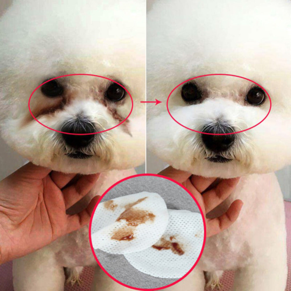 Pet Eye Grooming Wipes – Gentle Tear Stain Cleaning for Dogs & Cats