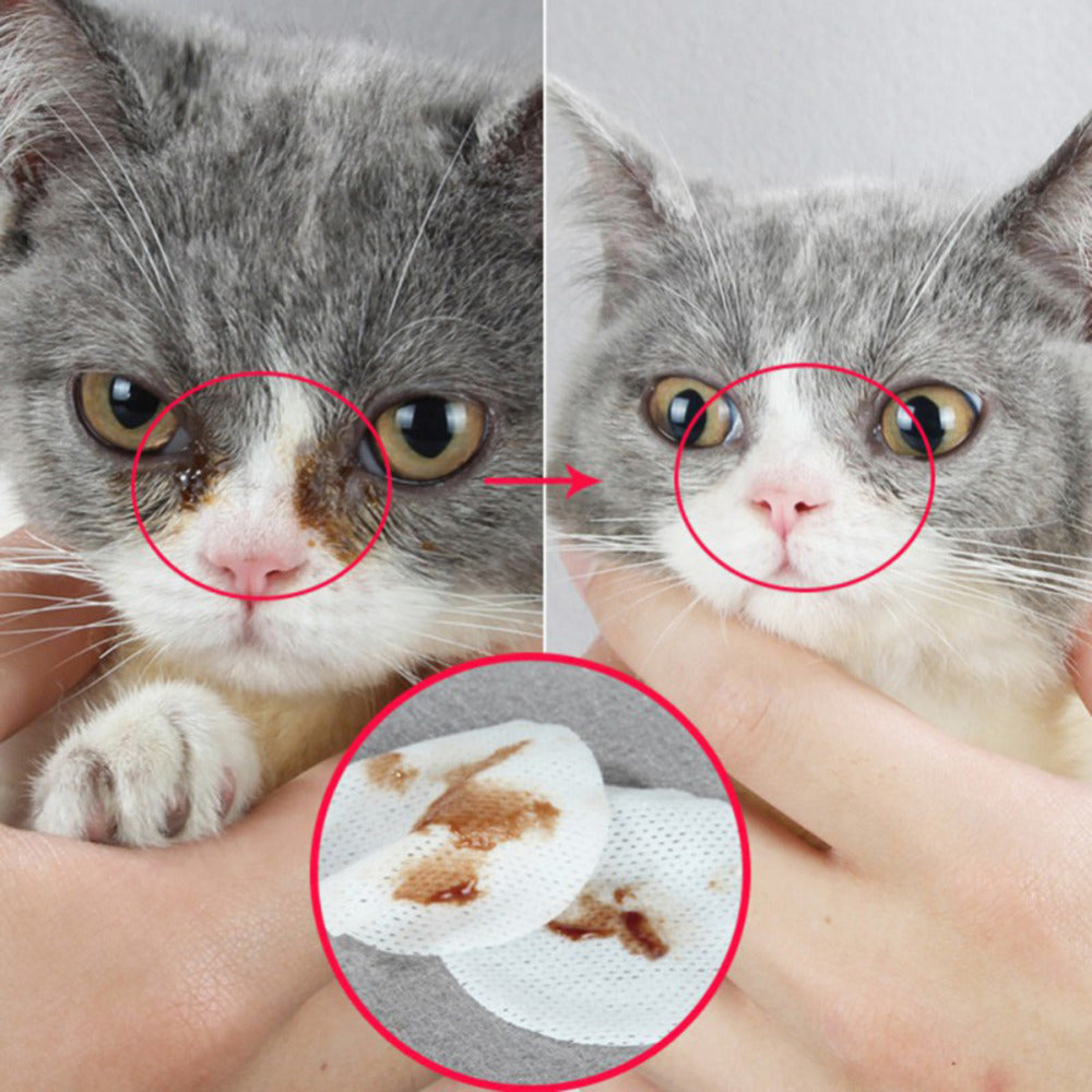 Pet Eye Grooming Wipes – Gentle Tear Stain Cleaning for Dogs & Cats
