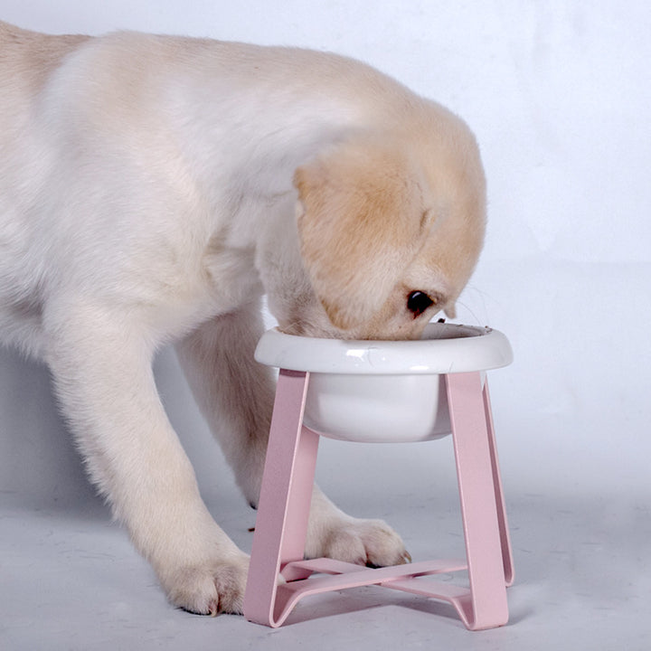 2-in-1 Anti-Slip Cat Feeding Bowl with Iron Stand