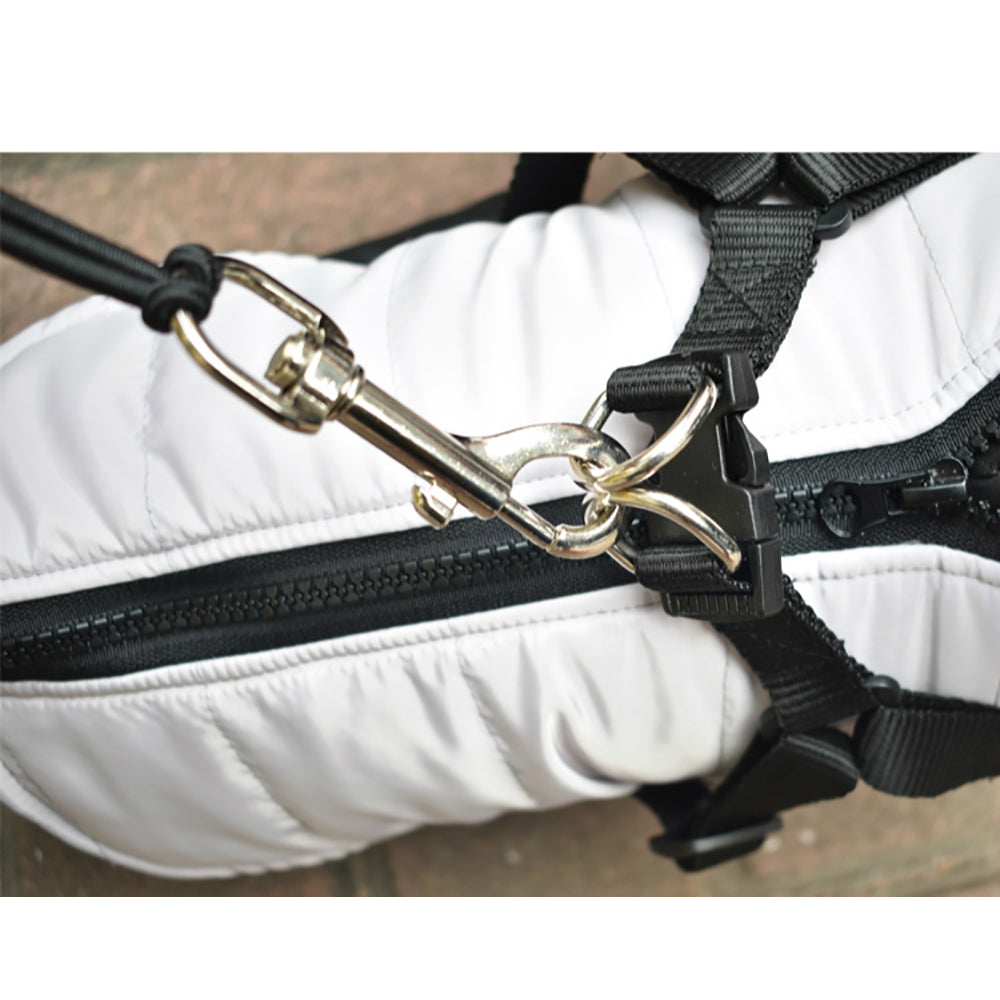 Stainless Steel Bike Leash for Safe Dog Walking and Cycling