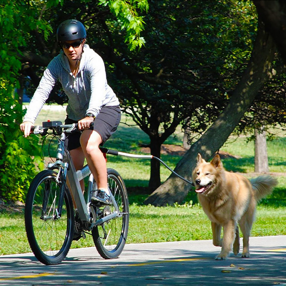 Stainless Steel Bike Leash for Safe Dog Walking and Cycling