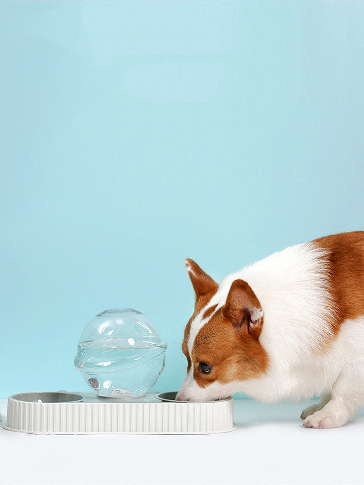 Automatic Plastic Pet Water & Food Feeder for Cats & Dogs
