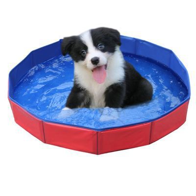 Folding Pet Wading Pool Bath Tub