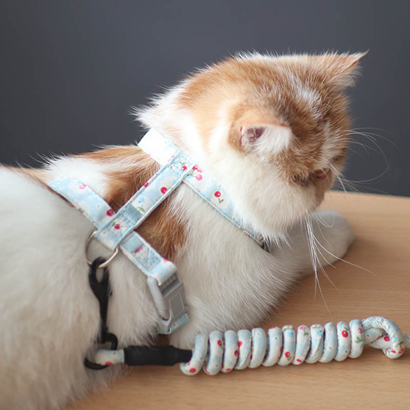 Printed Anti-Pull Cat Leash