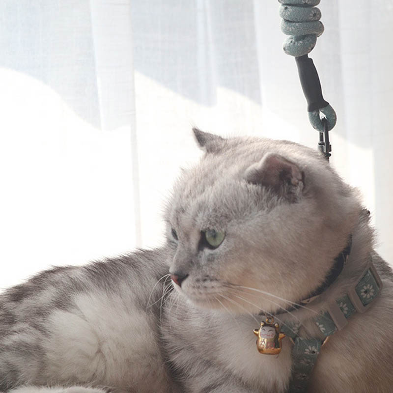 Printed Anti-Pull Cat Leash