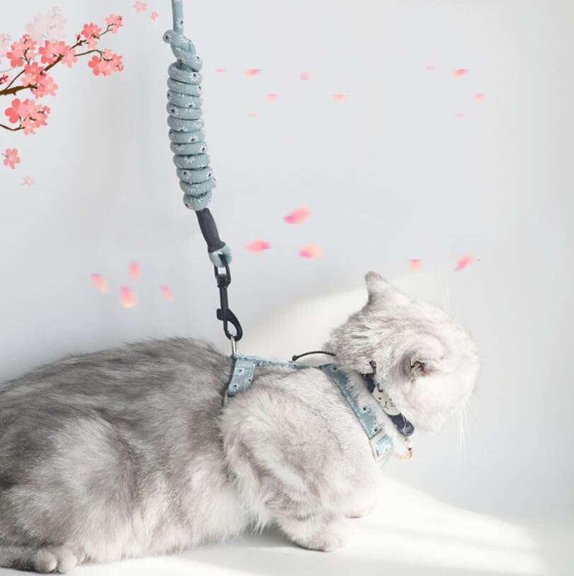 Printed Anti-Pull Cat Leash