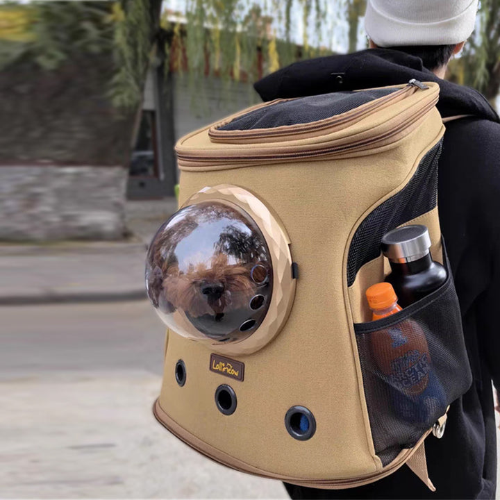 Backpack-Style Portable Carrier for Medium-Sized Cats and Dogs