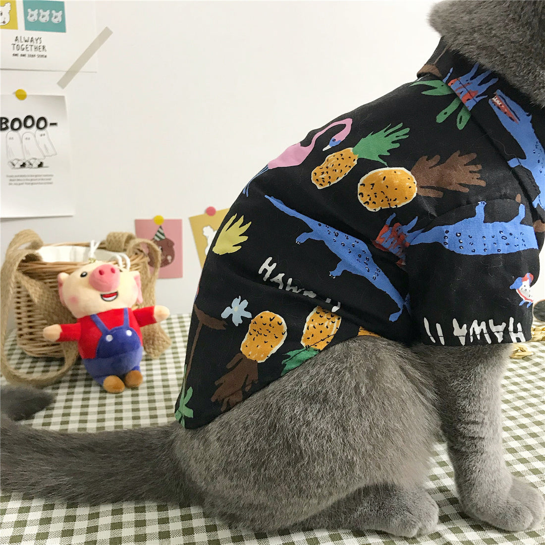 Cute and Cozy Cat Clothes Perfect for Every Season Wear