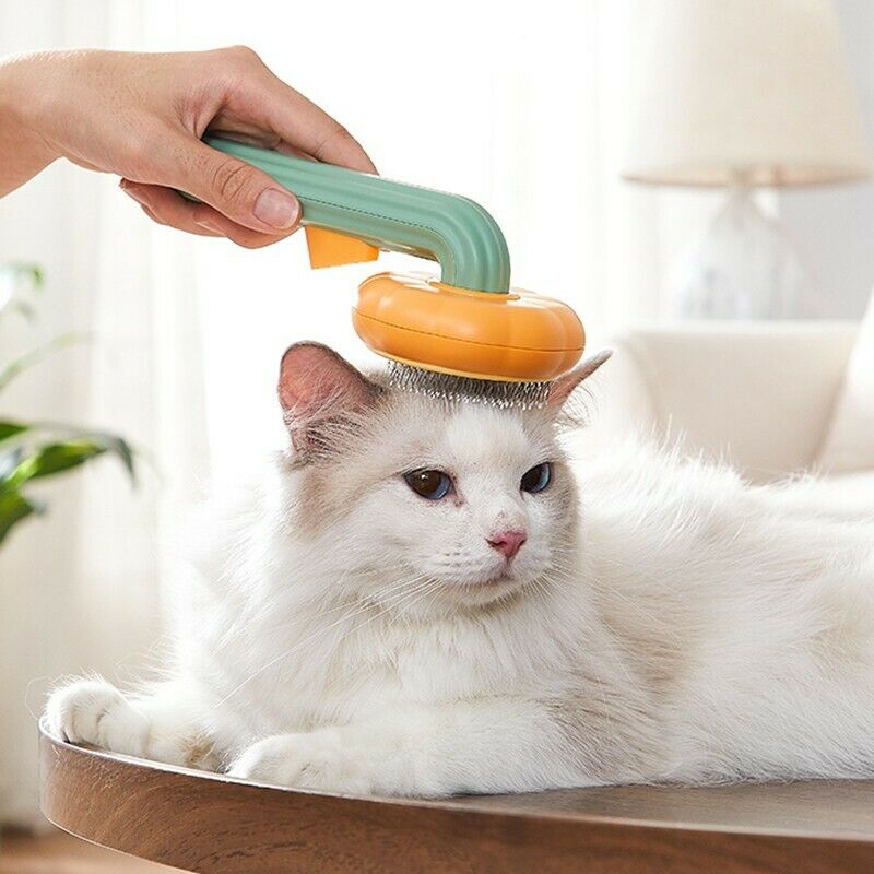 Pumpkin-Shaped Self-Cleaning Pet Slicker Brush for Dogs Cats