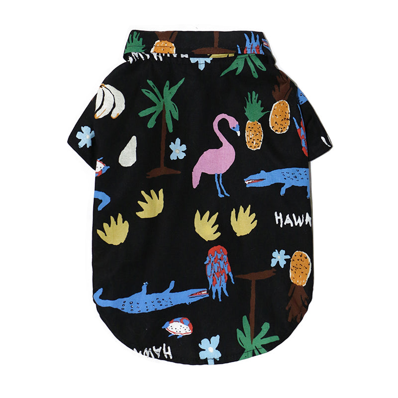 Cute and Cozy Cat Clothes Perfect for Every Season Wear