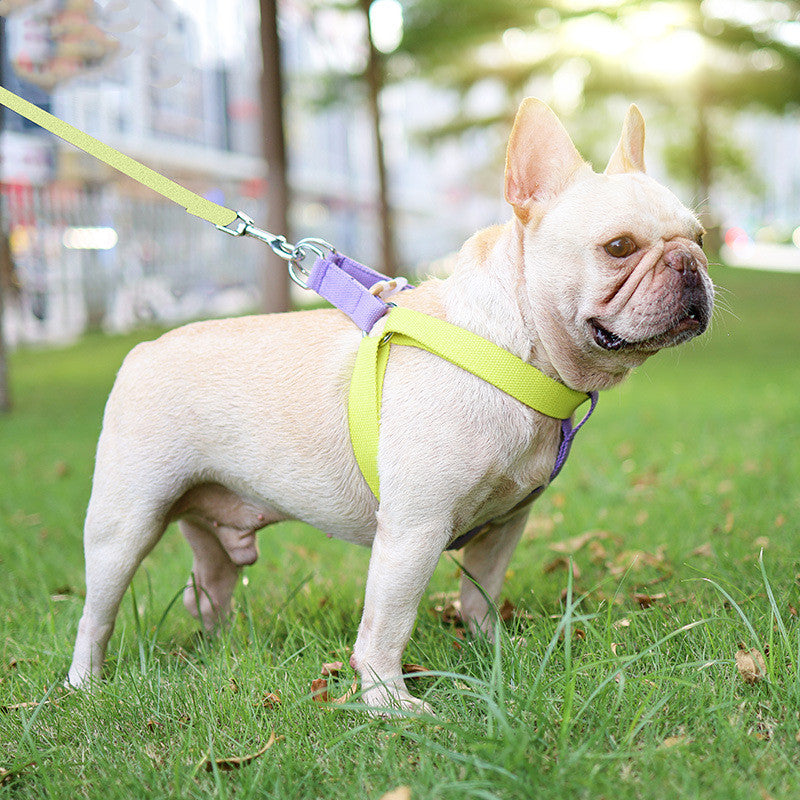 Vest-Style Dog Leash with Colorful Drawstring for Safe Walking