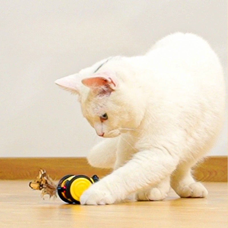 Electric Bee Cat Toy with Feather Teaser for Interactive Play
