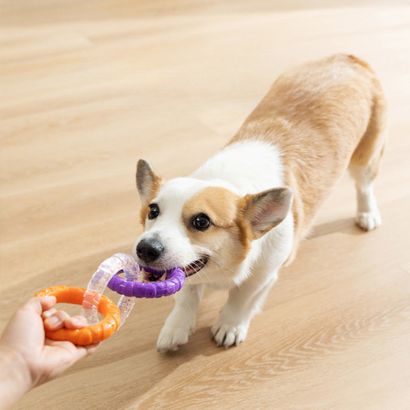 Floating Flying Disk Dog Toy for Water & Training