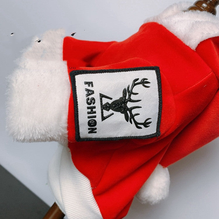 Teddy Bear Style Dog Clothes for Golden Retrievers