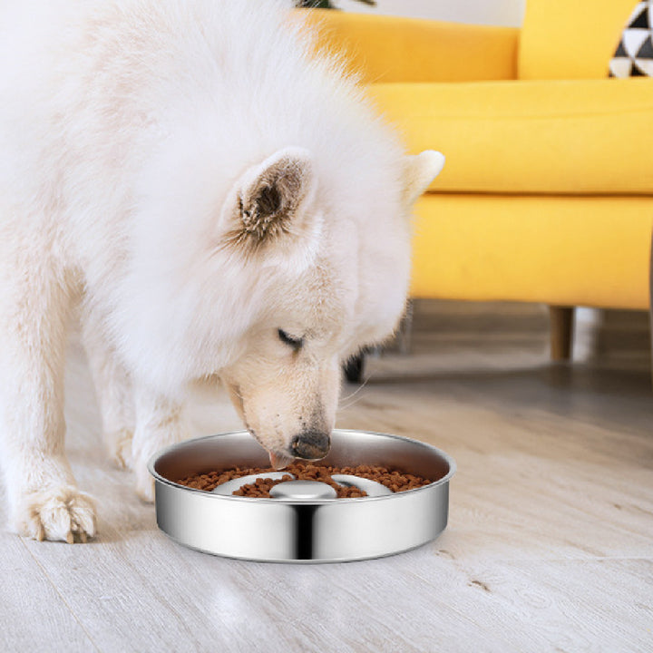 Stainless Steel Slow Feeding Bowl with Neck Protector