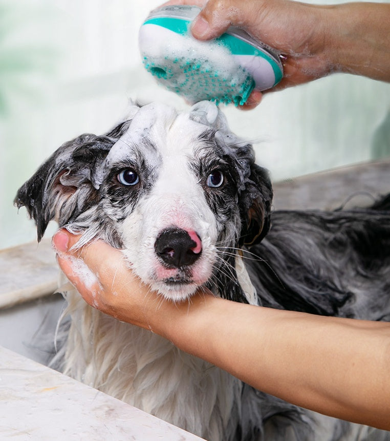 Automatic Pet Bath Massage Comb with Liquid Dispenser