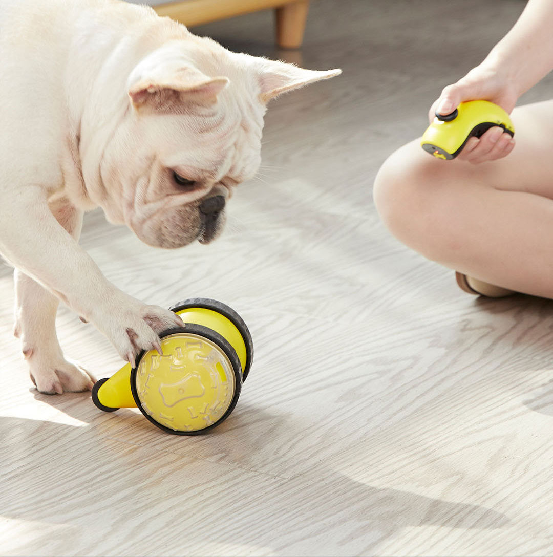 Remote-Controlled Food-Dispensing Pet Car