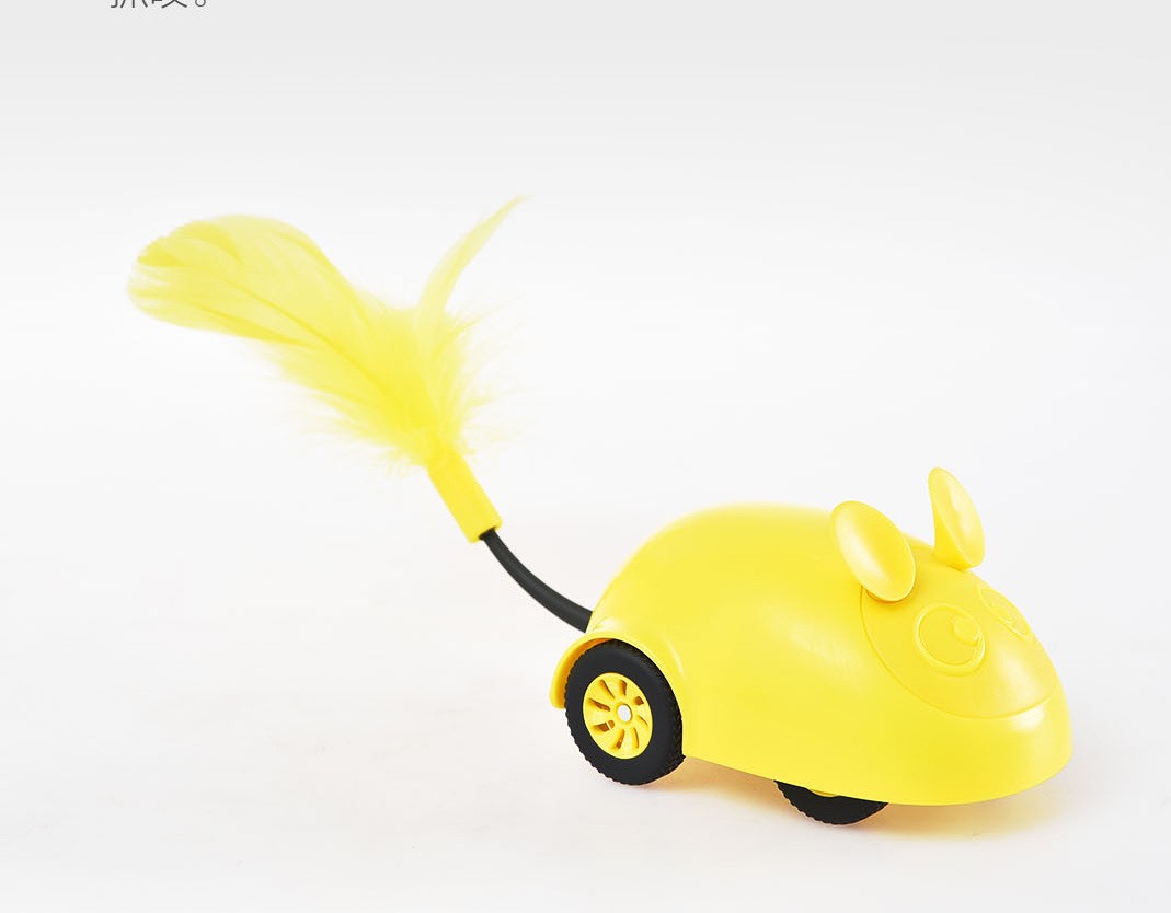 Remote-Controlled Food-Dispensing Pet Car