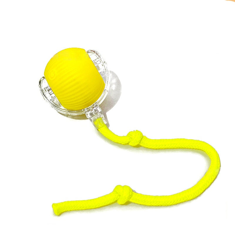 Automatic Interactive Rolling Cat Ball Toy with Rechargeable Sensor