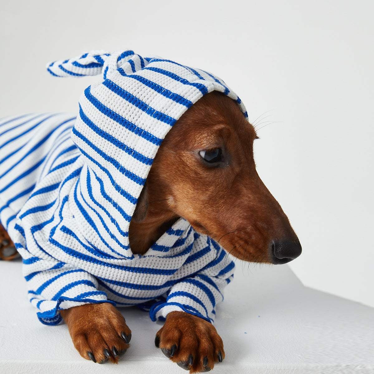 Striped Hooded Two-Leg Cat Clothes for Dogs and Cats