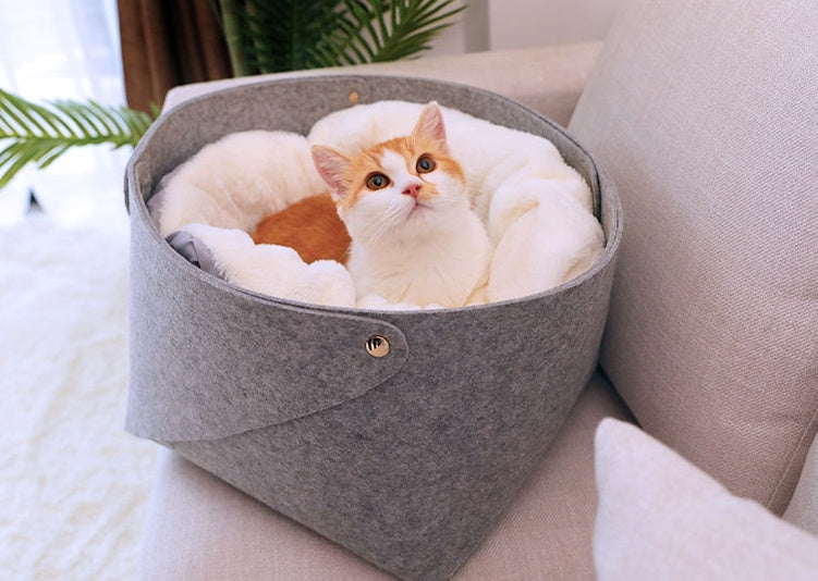 Ultra-Soft Plush Donut Cat Bed for Cozy Comfortable Sleep Everywhere
