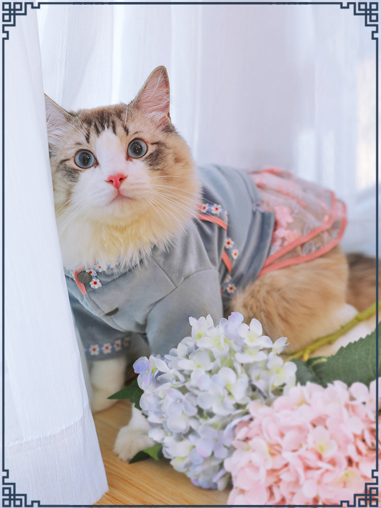 Fashionable and Comfortable Clothes Designed for Your Pet Cat