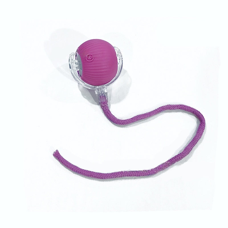 Automatic Interactive Rolling Cat Ball Toy with Rechargeable Sensor