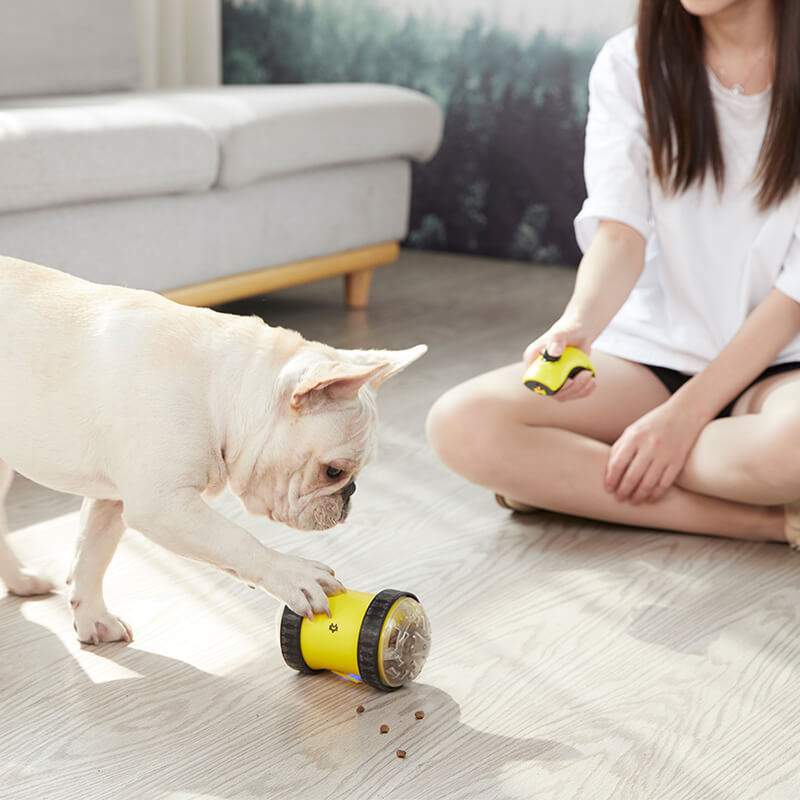 Remote-Controlled Food-Dispensing Pet Car